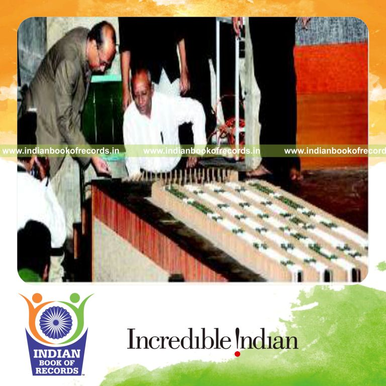 large number of dominos arranged to form a figure for record in Indian Book of Records