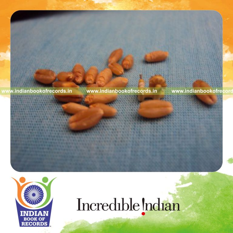male individual creating a very small spinning wheel for record in Indian Book of Records